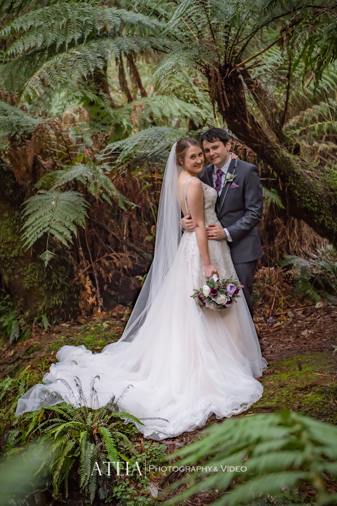 , Melbourne Wedding Photography &#8211; Lyrebird Falls