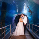 , Wedding Photography Melbourne &#8211; The Budgie Smuggler