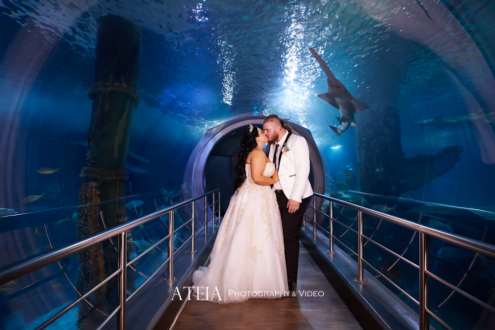 , Wedding Photography Melbourne &#8211; Melbourne Aquarium