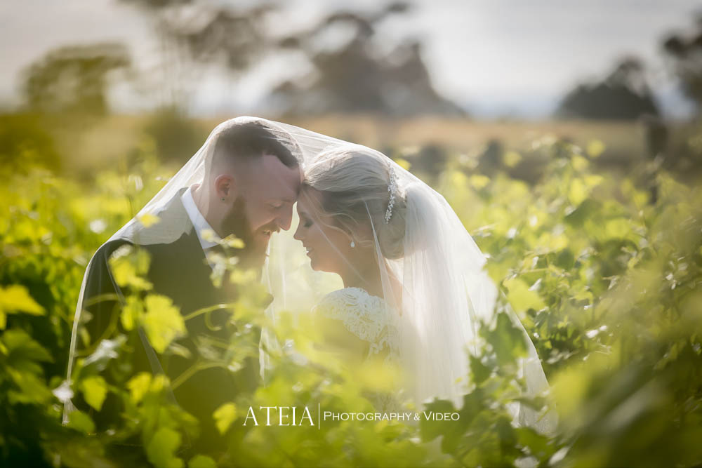 , Wedding Photography Melbourne &#8211; Russo Estate Winery