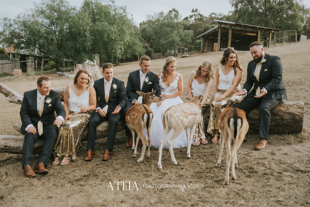 , Gum Gully Farm Wedding Photography Melbourne &#8211; ATEIA Photography &#038; Video