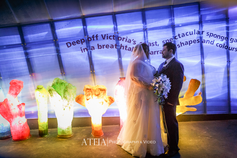 , Melbourne Zoo Wedding Photography by ATEIA Photography &#038; Video
