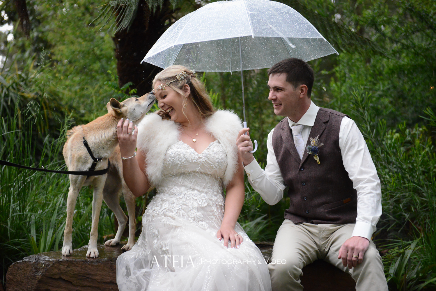 , Healesville Sanctuary Melbourne Wedding Photography by ATEIA Photography