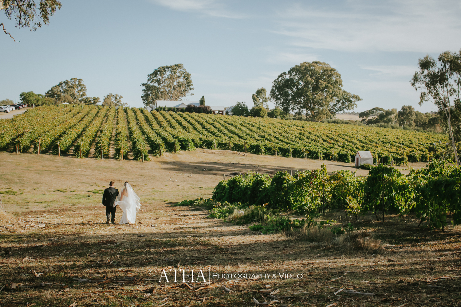 , Belvoir Park Estate Wedding Photography by ATEIA Photography &#038; Video