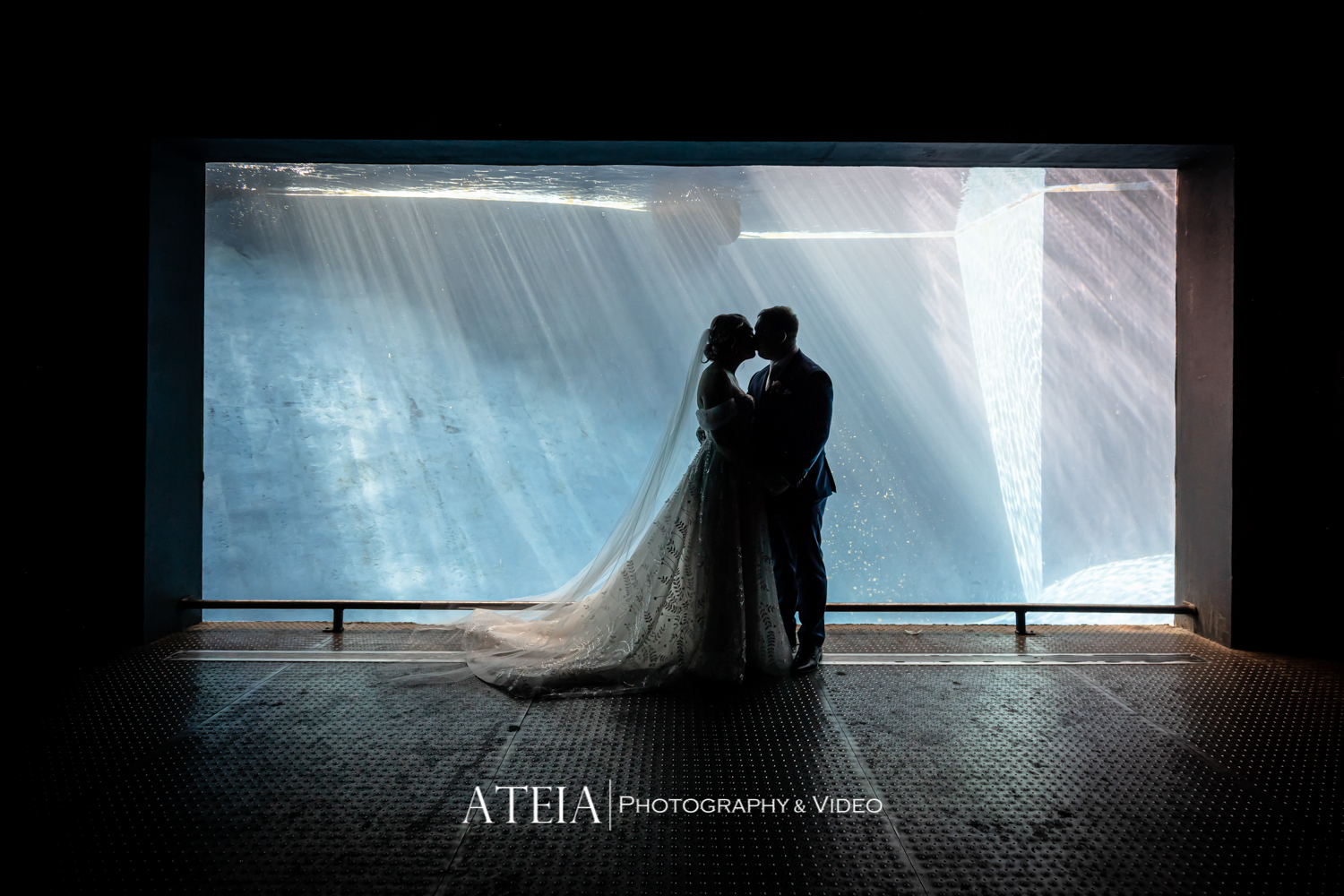 , Meg and Stephen&#8217;s wedding photography at Melbourne Zoo captured by ATEIA Photography &#038; Video