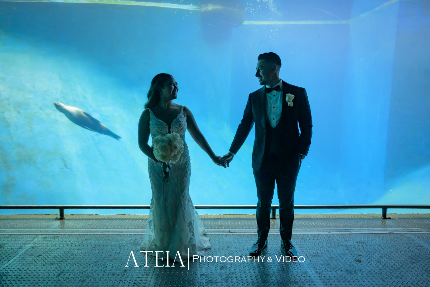 , Mary and Youssef’s wedding photography at Melbourne Zoo captured by ATEIA Photography &#038; Video