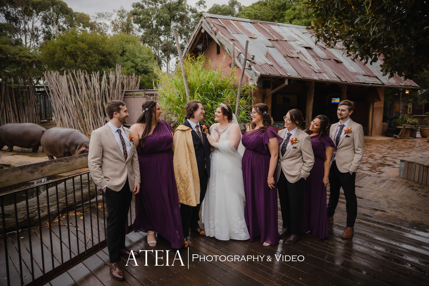 , Delene and Sam&#8217;s wedding photography at Melbourne Zoo captured by ATEIA Photography &#038; Video