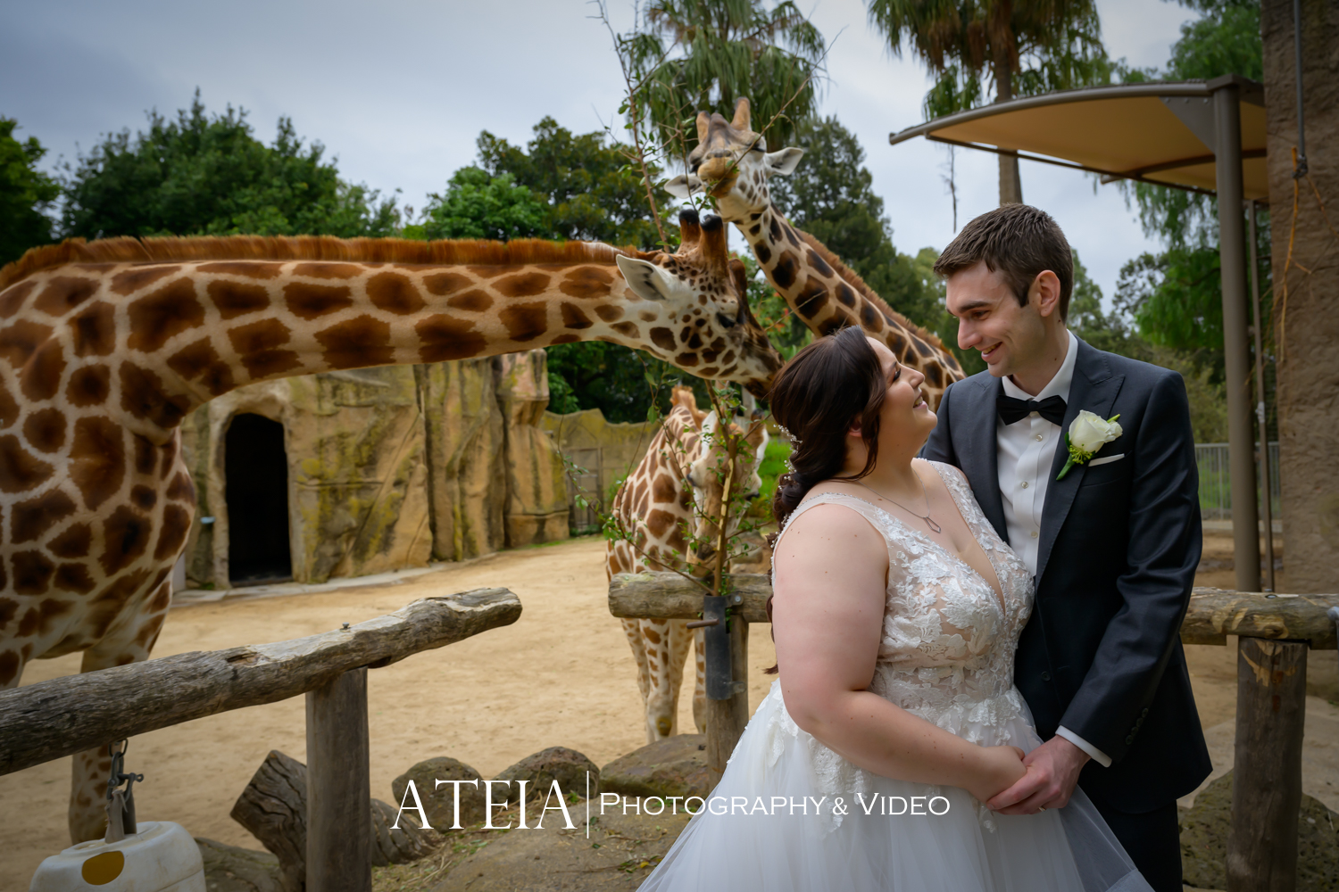 , Rhiannon and Chris&#8217; wedding photography at Melbourne Zoo captured by ATEIA Photography &#038; Video