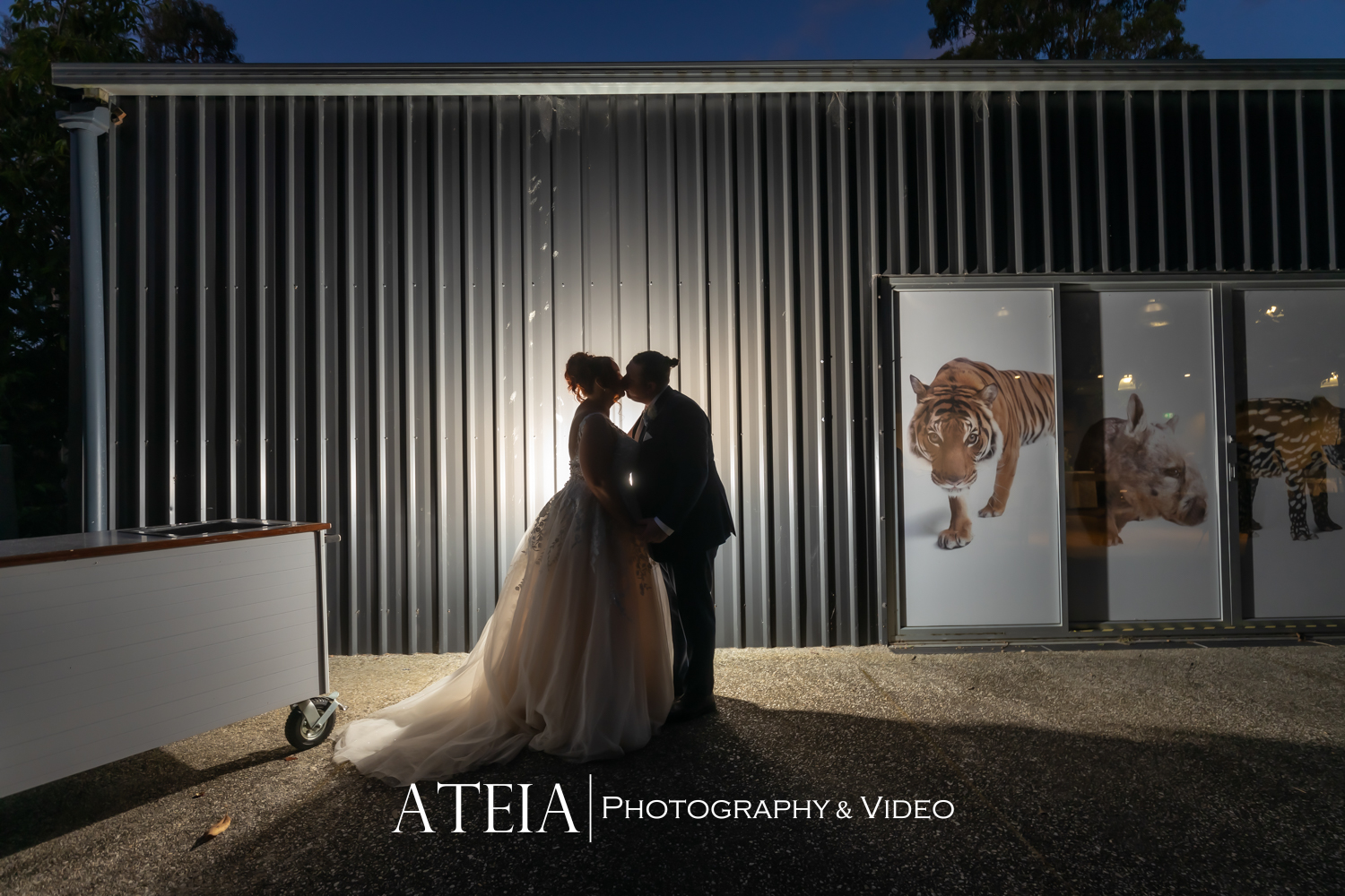 , Alexandra and Peader&#8217;s wedding photography at Melbourne Zoo captured by ATEIA Photography &#038; Video