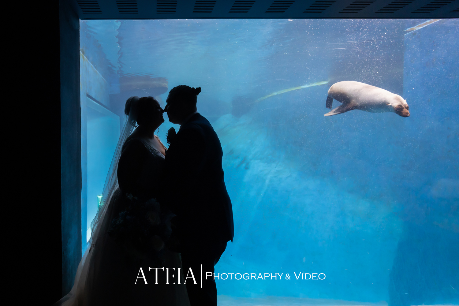 , Alexandra and Peader&#8217;s wedding photography at Melbourne Zoo captured by ATEIA Photography &#038; Video