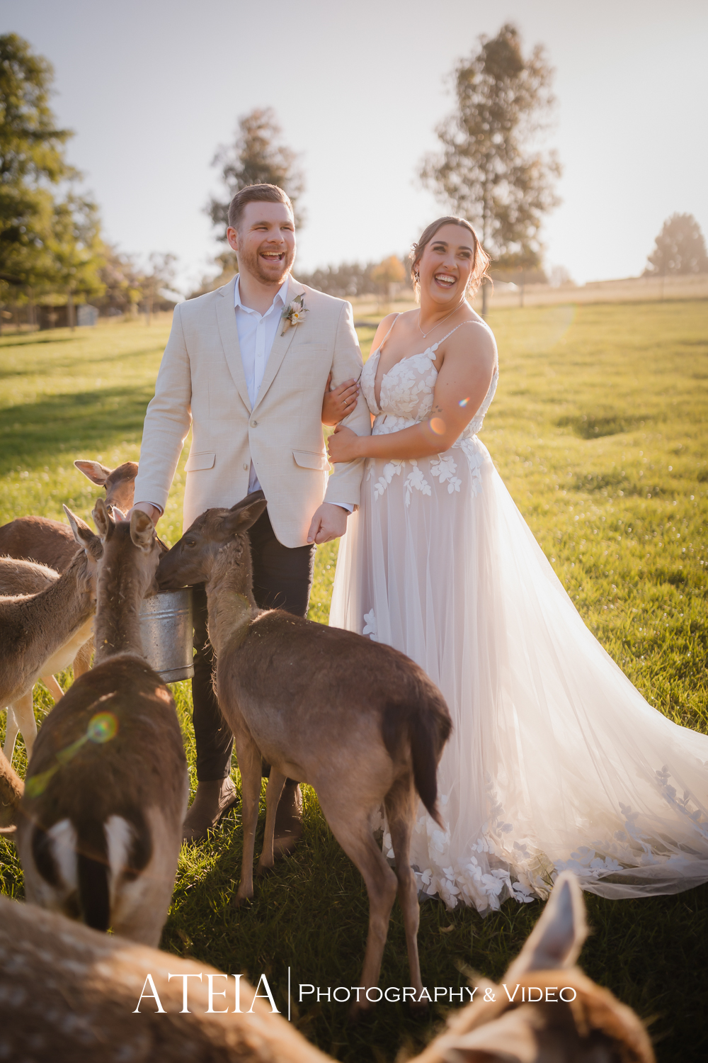 , Hayley and Sean&#8217;s wedding photography at Gum Gully Farm captured by ATEIA Photography &#038; Video