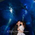, Jessica and Sahil&#8217;s wedding photography at Farm Vigano South Morang captured by ATEIA Photography &#038; Video